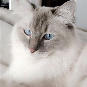 Meet your Posher, Carla